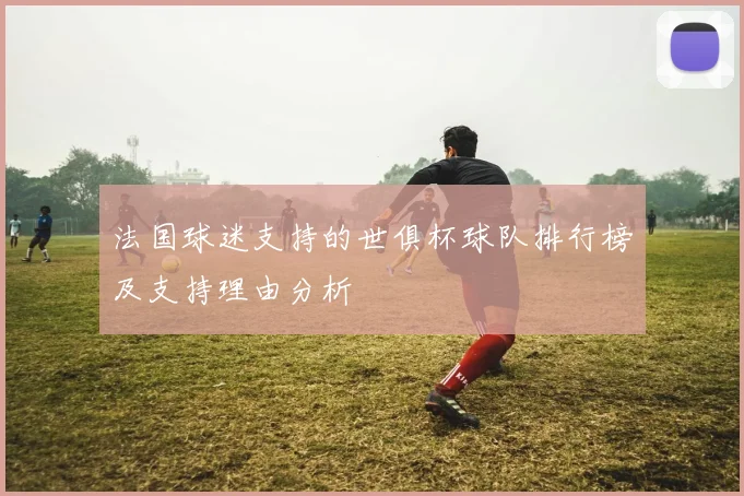 法国球迷支持的世俱杯球队排行榜及支持理由分析